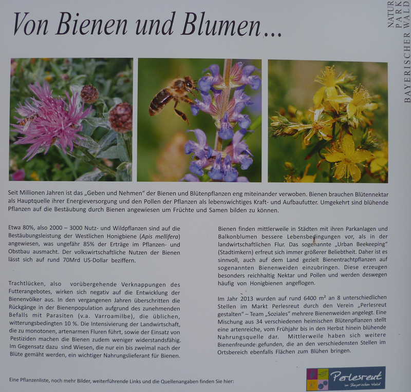 Infotafel Bienenweide