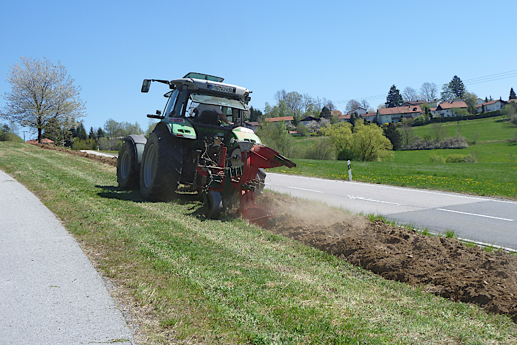 Bienenwiese am Lindberg